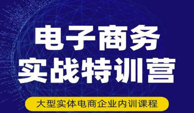 （3101期）电子商务实战特训营，全方位带你入门电商，308种方式玩转电商插图