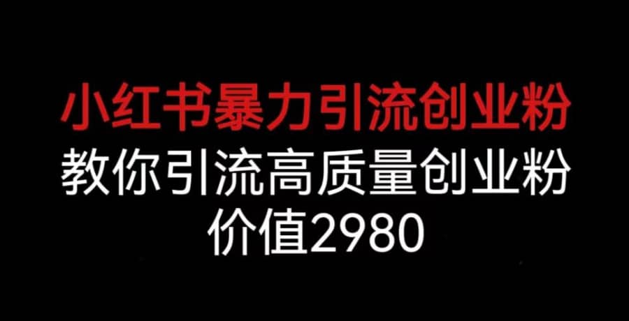 小红书暴力引流创业粉，教你引流高质量创业粉，价值2980【揭秘】插图