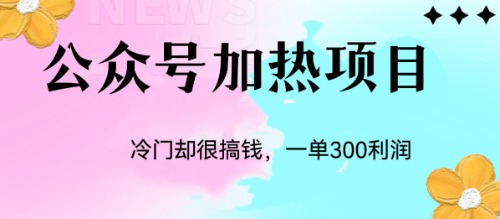 （6916期）冷门公众号加热项目，一单利润300+插图