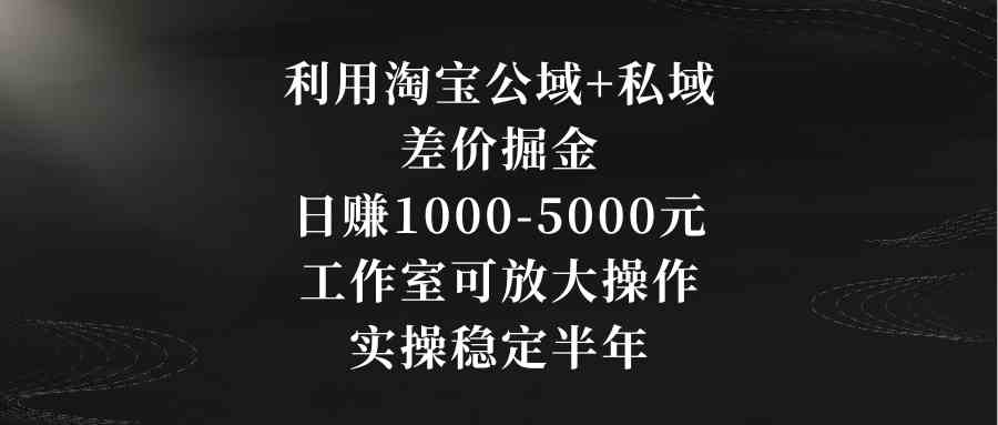 （8952期）利用淘宝公域+私域差价掘金，日赚1000-5000元，工作室可放大操作，实操…插图