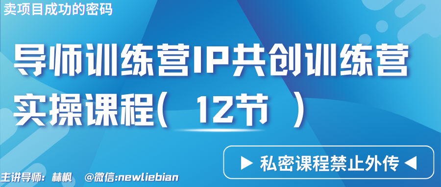 导师训练营3.0IP共创训练营私密实操课程（12节）-卖项目的密码成功秘诀插图