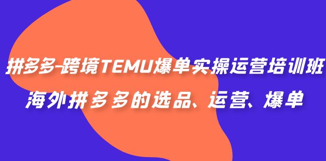 （6934期）拼多多-跨境TEMU爆单实操运营培训班，海外拼多多的选品、运营、爆单插图