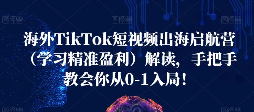 海外TikTok短视频出海启航营（学习精准盈利）解读，手把手教会你从0-1入局！插图