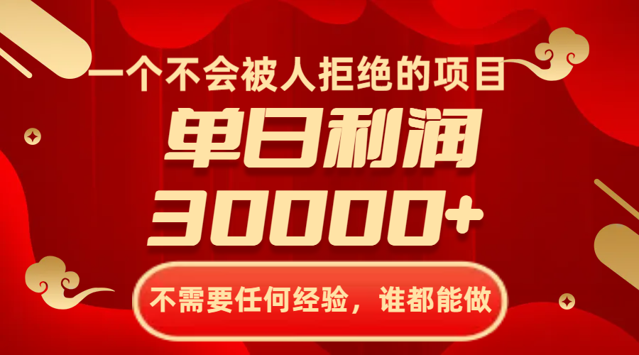 （8120期）一个不会被人拒绝的项目，不需要任何经验，谁都能做，单日利润30000+插图