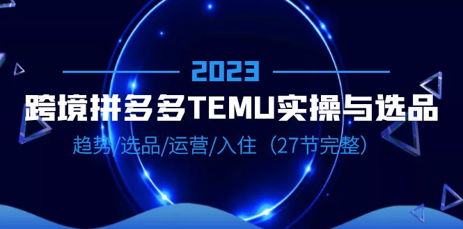 （6550期）2023跨境·拼多多·TEMU实操与选品，趋势·选品·运营·入住（27节完整）插图