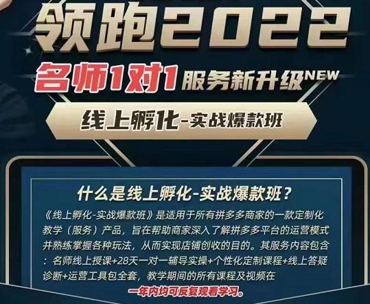 牛气学堂老陶电商【第9期】，拼多多名师线上领跑28天，线上孵化-实战爆款班插图