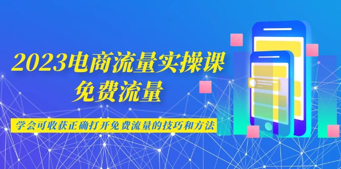 （6880期）2023电商流量实操课-免费流量，学会可收获正确打开免费流量的技巧和方法插图