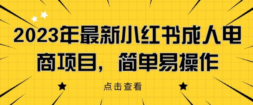 2023年zui新小红书成人电商项目，简单易操作【详细教程】【揭秘】插图