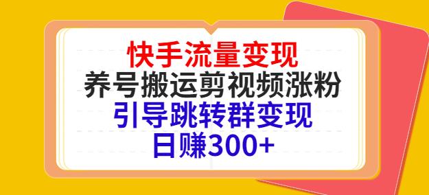 快手流量变现，养号搬运剪视频涨粉，引导跳转群变现日赚500+插图