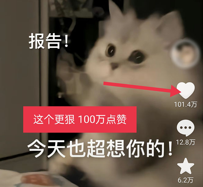 （5498期）黑科技纯原创可爱猫咪图片，全网精准引流，实操5个VX号被加频繁插图3