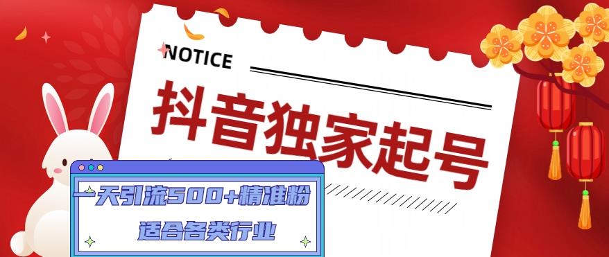 （4906期）抖音独家起号，一天引流500+精准粉，适合各类行业（9节视频课）插图