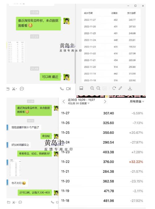 黄岛主《淘宝蓝海虚拟项目陪跑训练营6.0》每天纯利润200到1000+纯实战课插图