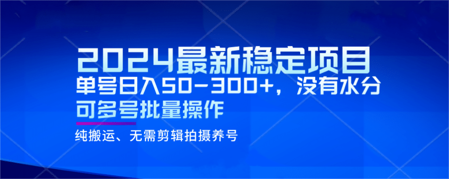 2024zui新稳定风口项目，单号日入50-300+，没有水分 可多号批量操作插图