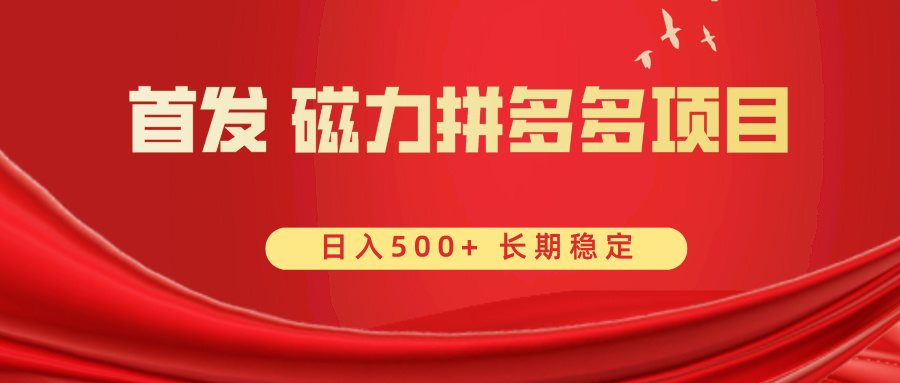 （8611期）首发 磁力拼多多自撸 日入500+插图