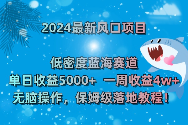 （8545期）2024zui新风口项目 低密度蓝海赛道，日收益5000+周收益4w+ 无脑操作，保…插图