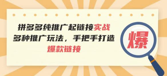 拼多多纯推广起链接实战：多种推广玩法，手把手打造爆款链接插图