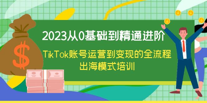 （6299期）2023从0基础到精通进阶，TikTok账号运营到变现的全流程出海模式培训插图