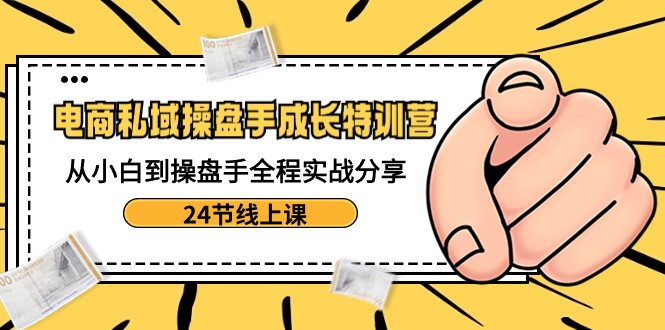 电商私域操盘手成长特训营：从小白到操盘手全程实战分享-24节线上课插图