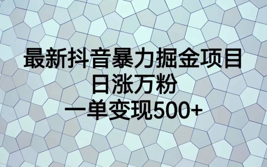 （6660期）zui新抖音暴力掘金项目，日涨万粉，一单变现500+插图