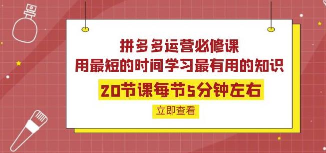 拼多多运营必修课：20节课每节5分钟左右，用zui短的时间学习zui有用的知识插图