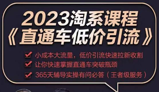 2023直通车低价引流玩法课程，小成本大流量，低价引流快速拉新收割，让你快速掌握直通车突破瓶颈插图