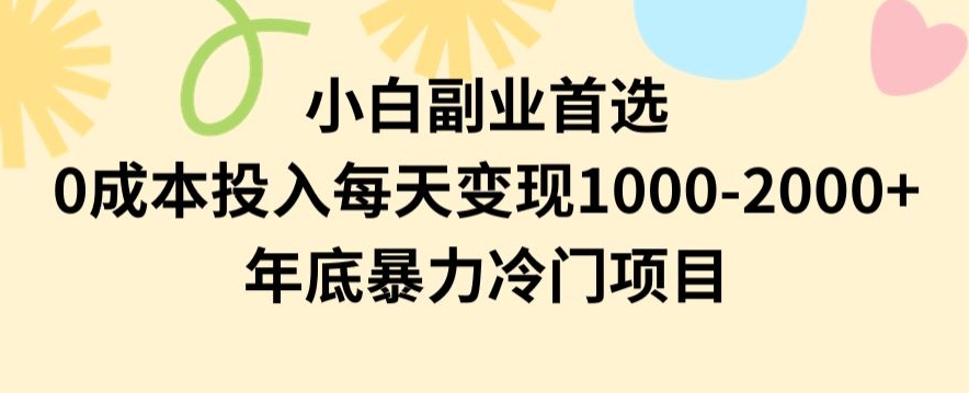 小白副业首选，0成本投入，每天变现1000-2000年底暴力冷门项目【揭秘】插图