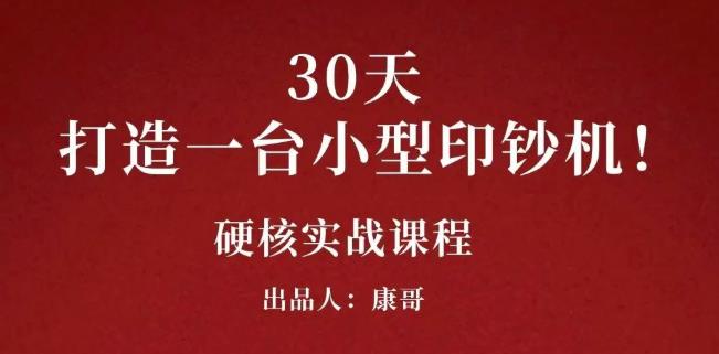 康哥30天打造一台小型印钞机：躺赚30万的项目完整复盘（视频教程）插图