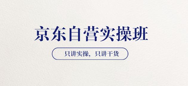 【京东自营实操班】只讲实操，只讲干货（28小时课程-共2期）价值4980插图