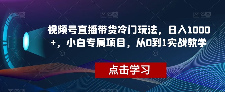 视频号直播带货冷门玩法，日入1000+，小白专属项目，从0到1实战教学【揭秘】插图