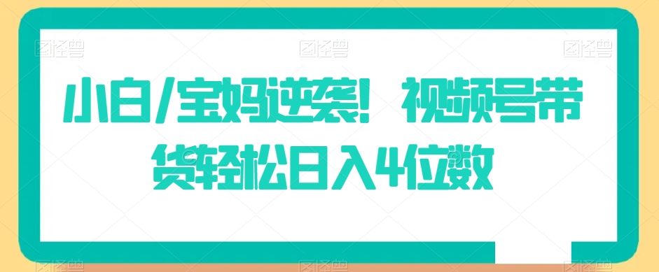 小白/宝妈逆袭！视频号带货轻松日入4位数【揭秘】插图