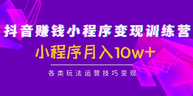 （4511期）抖音赚钱小程序变现训练营：小程序月入10w+各类玩法运营技巧变现插图