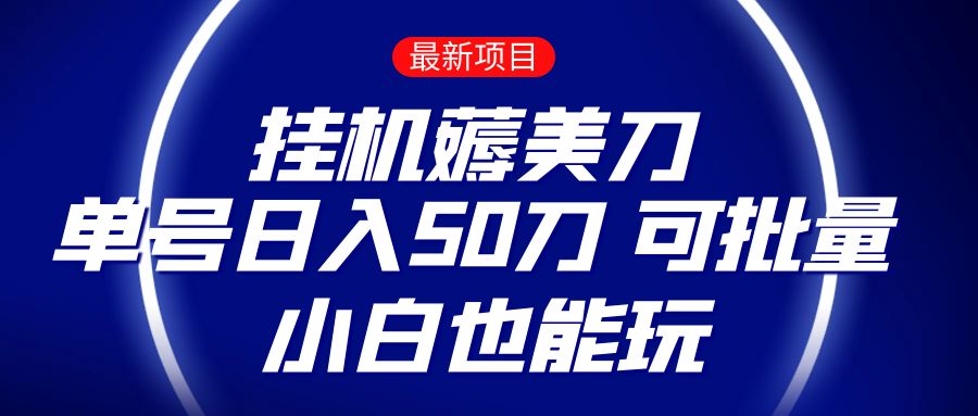 薅羊毛项目 零投入挂机薅美刀 单号日入50刀 可批量 小白也能玩插图