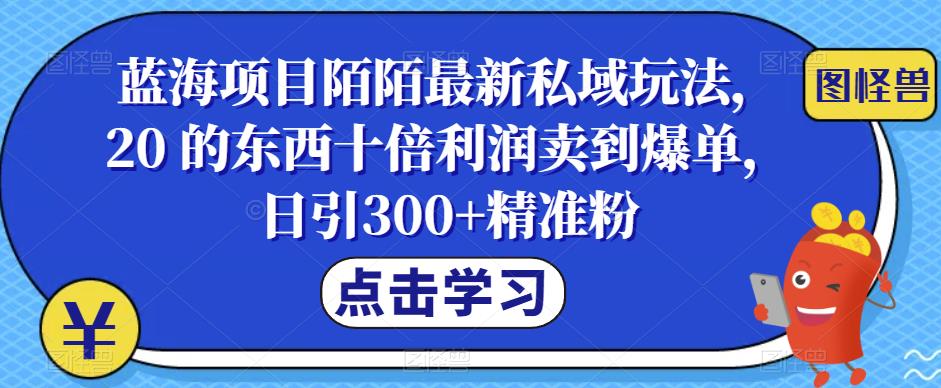 蓝海项目陌陌zui新私域玩法，20 的东西十倍利润卖到爆单，日引300+精准粉【揭秘】插图