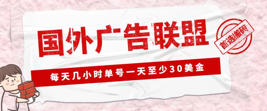 外面收费1980的zui新国外LEAD广告联盟搬砖项目，单号一天至少30美金【详细玩法教程】插图