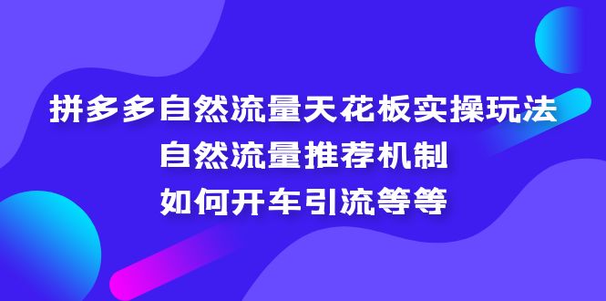 （5327期）拼多多自然流量天花板实操玩法：自然流量推荐机制，如何开车引流等等插图