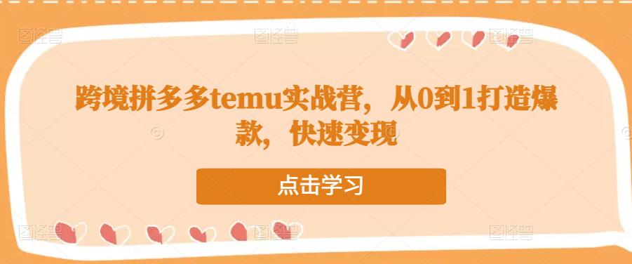 跨境拼多多temu实战营，从0到1打造爆款，快速变现插图