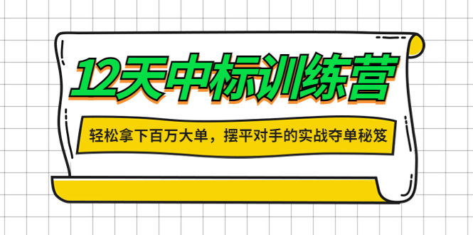 （4116期）12天中标训练营：轻松拿下百万大单，摆平对手的实战夺单秘笈！插图