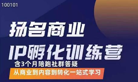 王扬名·商业IP孵化训练营，从商业到内容到转化一站式学习插图