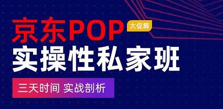 京东POP实操性私家班——大促篇，​三天时间，实战剖析-​原价4980插图