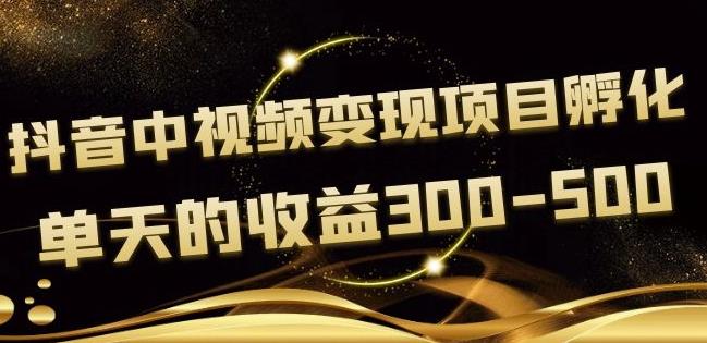 黄岛主抖音中视频变现项目孵化，单天的收益300-500操作简单粗暴插图