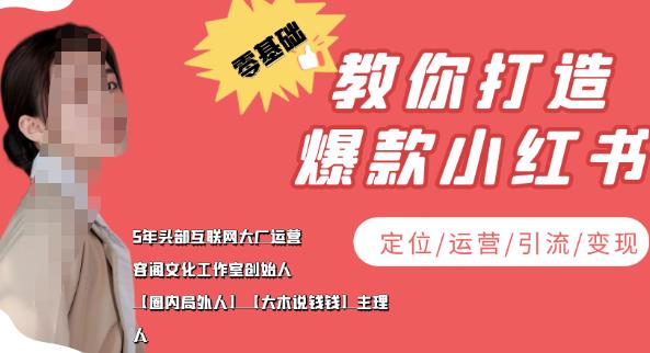 学做小红书自媒体从0到1，零基础教你打造爆款小红书（定位/运营/引流/变现）插图