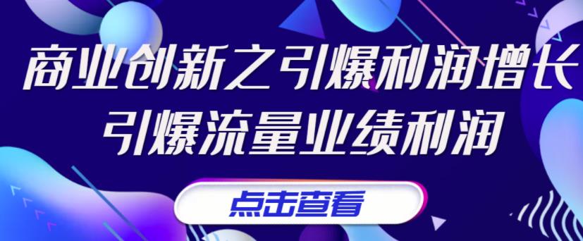 张琦《商业创新之引爆利润增长》引爆流量业绩利润插图