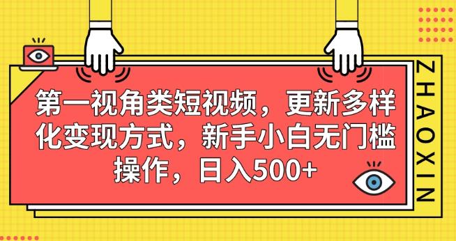 NO.1视角类短视频，更新多样化变现方式，新手小白无门槛操作，日入500+【揭秘】插图