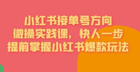 接单号方向·小红书微操实践课，快人一步，提前掌握小红书爆款玩法插图