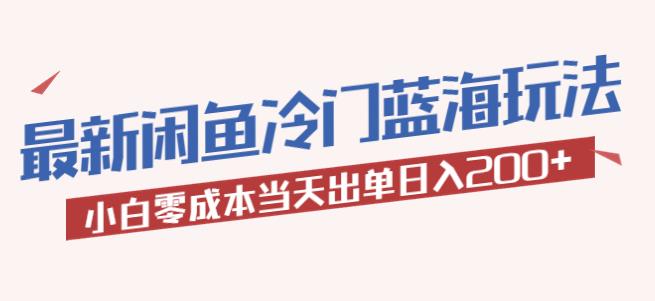 2023zui新闲鱼冷门蓝海玩法，小白零成本当天出单日入200+【揭秘】插图