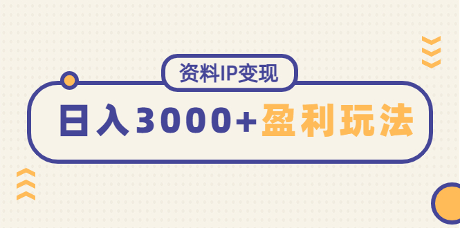 （4576期）资料IP变现，能稳定日赚5000起的持续性盈利玩法插图