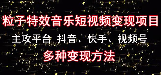 黄岛主《粒子特效音乐短视频变现项目》主攻平台抖音、快手、视频号多种变现方法插图