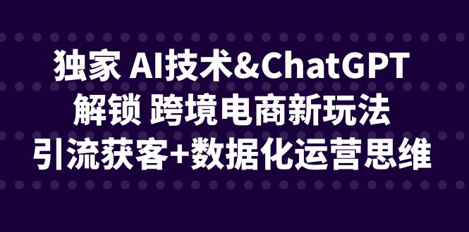 （6599期）独家 AI技术&ChatGPT解锁 跨境电商新玩法，引流获客+数据化运营思维插图