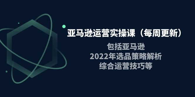 （3955期）亚马逊运营实操课（每周更新）包括亚马逊2022选品策略解析，综合运营技巧等插图