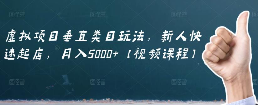 虚拟项目垂直类目玩法，新人快速起店，月入5000+【视频课程】插图